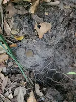20230309_181806.webp