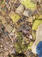 20230226_135543.webp