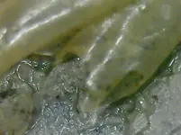 20230225_235033.webp