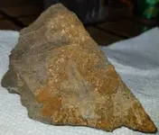 20230317_141732.webp