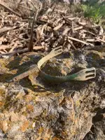 enlistedman Leech & Rigdon  spur.webp