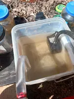 20230324_124631.webp