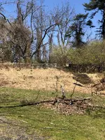 Remnants of house.webp