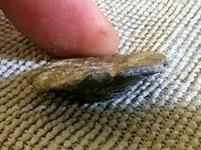 20230331_221635.webp