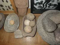 IMGP9441.webp