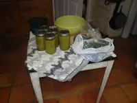 IMGP6320.webp