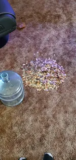 20230405_121915.webp