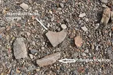 Heart Rock.webp