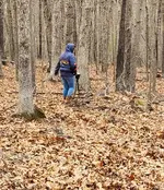 FB_IMG_1680926587325.webp