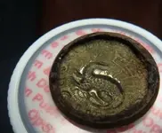 dragon button.webp