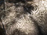 100_5177.webp