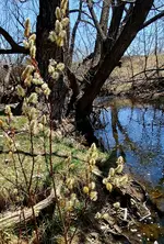 20230416_133929.webp