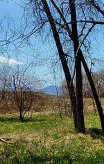 20230416_134949.webp