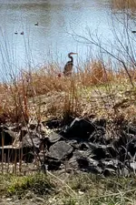 20230416_150731.webp