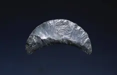 _U2A6212.webp