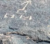 image1.webp