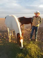 Horse and Doug.webp