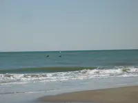 105_0504.webp
