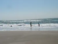 105_0505.webp