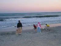 105_0514.webp