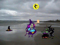witch beach.gif