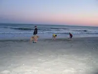 105_0515.webp