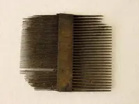 Lice Comb 17th Century.webp
