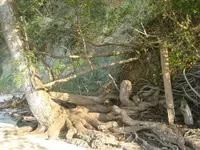 IMG_2504a.webp