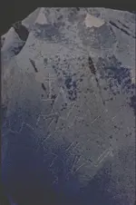 EE6C4C245F1611DD.webp