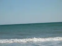 105_0549.webp