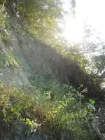 IMG_2510a.webp
