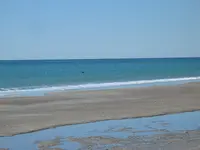 105_0557.webp