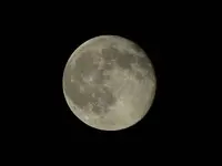 PA154786.webp