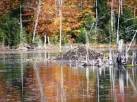 Pond in mountains.webp