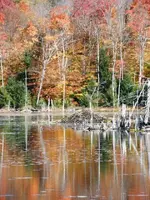 Mountain pond2.webp
