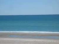 105_0566.webp