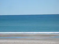 105_0568.webp