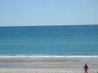 105_0569.webp