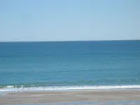 105_0571.webp