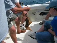 Beach Vacation 2004 082.webp