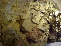Fools gold 2.webp
