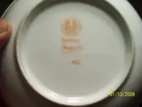 bowel 1.webp
