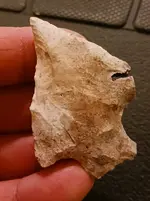 20230426_002652.webp