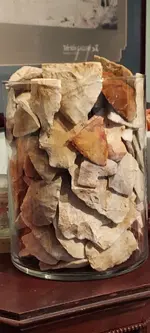 20230129_101406.webp