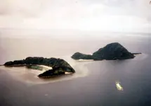 77.webp