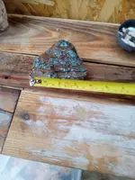 IMG_20230319_160558704.webp