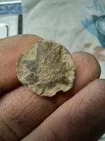 20230427_194451.webp