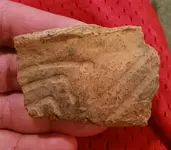 20230430_204609.webp