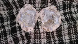 IMG_20230418_214012.webp