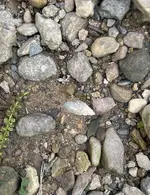 IMG_0750.webp